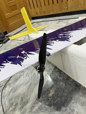 Remote Controlled RC Plane - Homemade 2x2 Meter Aircraft