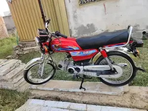 Photo - United 70 Isb Smart Card Biometric Vehicle Registration Document