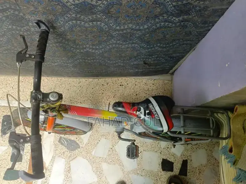 Kids Bicycle - Lightly Used Morgan Cycle in Great Condition