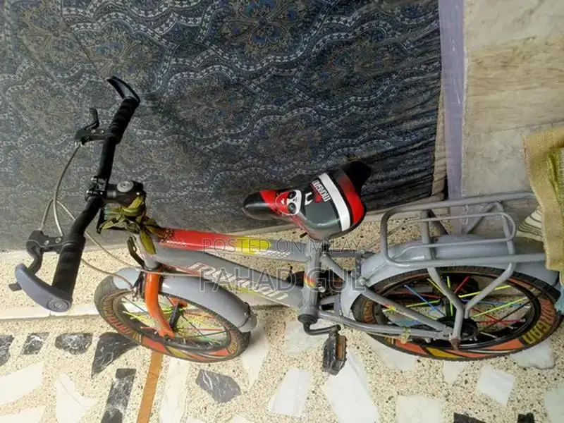 Kids Bicycle - Lightly Used Morgan Cycle in Great Condition