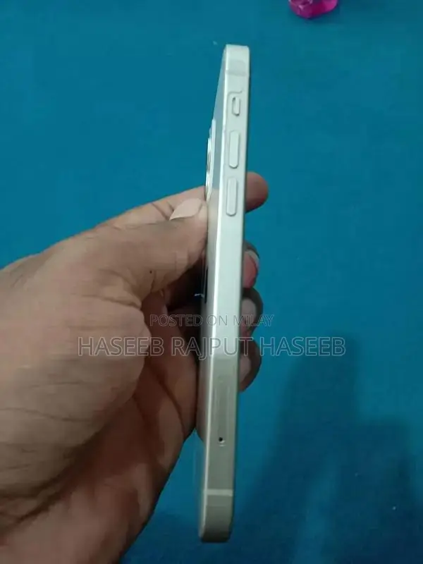 Dual SIM iPhone 12 with eSIM and Physical Slot, 256GB