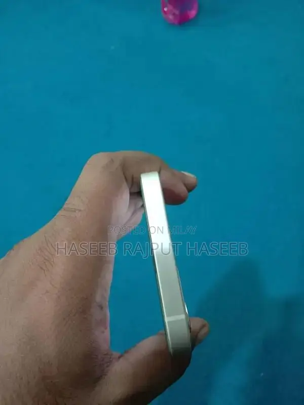 Dual SIM iPhone 12 with eSIM and Physical Slot, 256GB