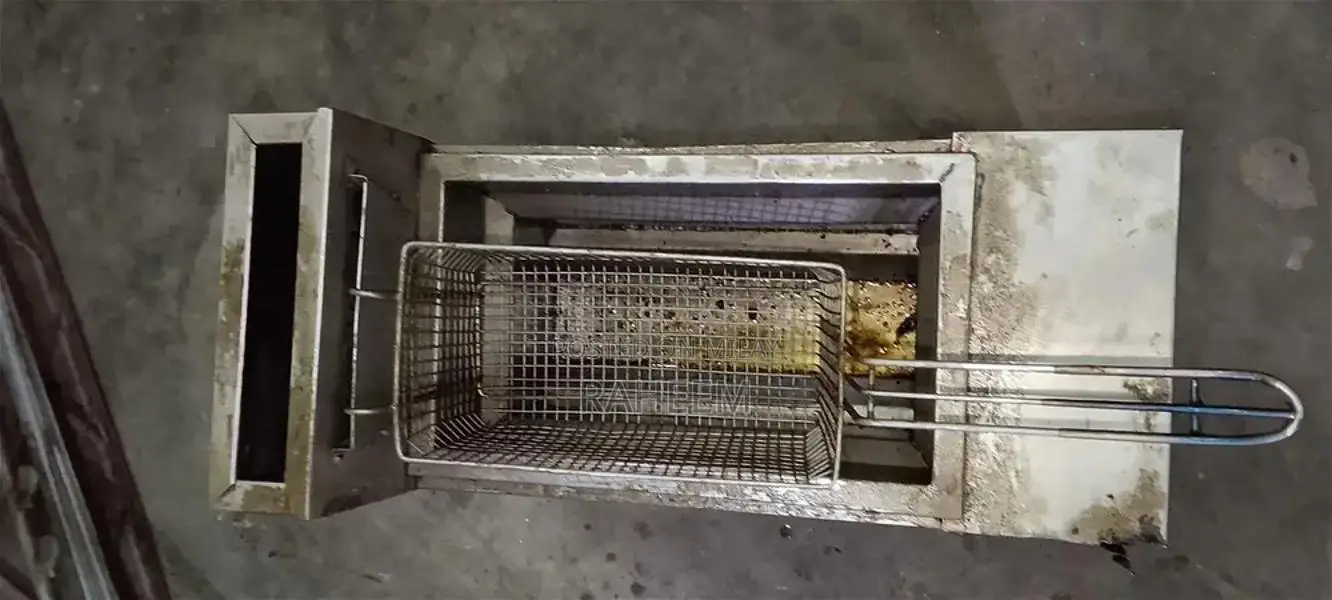 Commercial LPG Propane Deep Fryer for Professional Kitchen