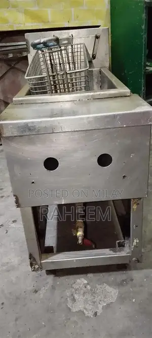 Commercial LPG Propane Deep Fryer for Professional Kitchen