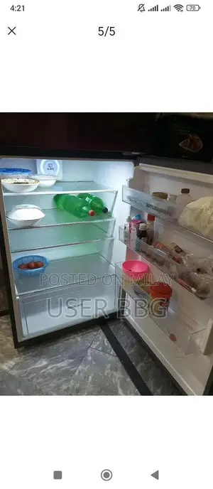 Digital Inverter Hair Device with Multiple Features