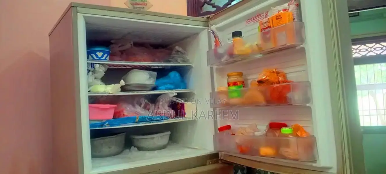 PEL Arctic Full Size Double Door Refrigerator