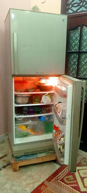 PEL Arctic Full Size Double Door Refrigerator