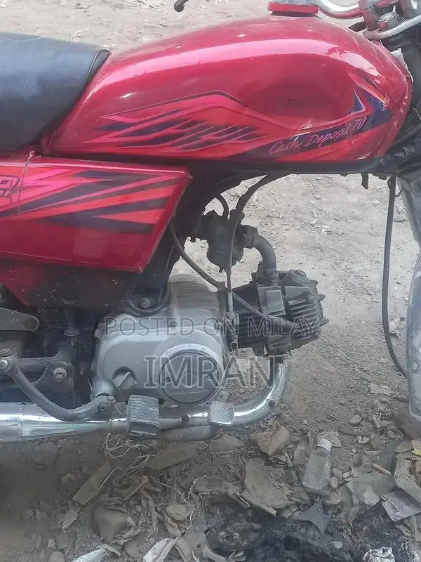 Automotive Vehicle with Engine Options