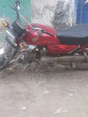 Automotive Vehicle with Engine Options