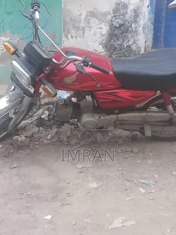 Automotive Vehicle with Engine Options