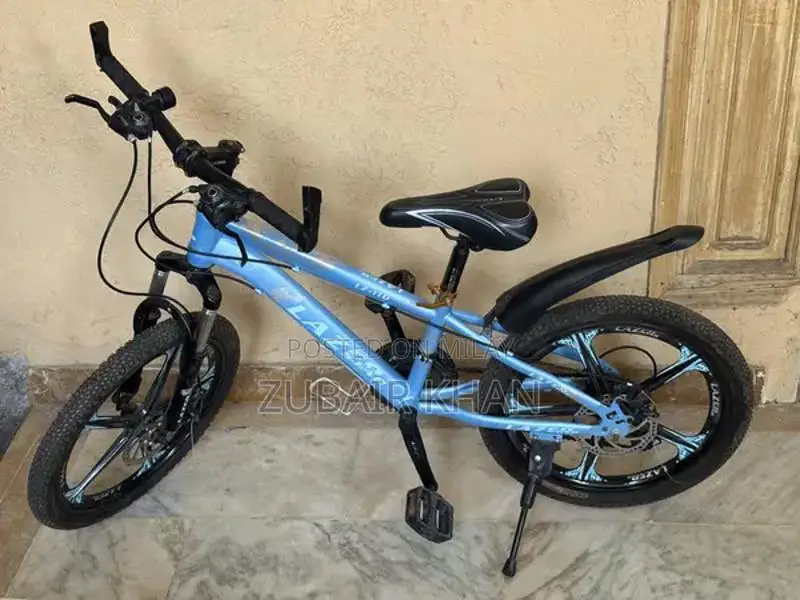 Youth Bicycle with Double Gear and Disc Brakes for Ages 10-14