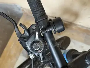 Youth Bicycle with Double Gear and Disc Brakes for Ages 10-14