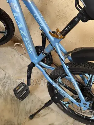 Youth Bicycle with Double Gear and Disc Brakes for Ages 10-14