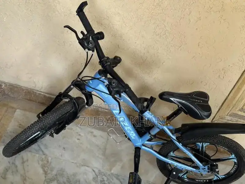 Youth Bicycle with Double Gear and Disc Brakes for Ages 10-14