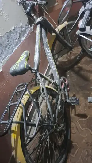 Photo - Double Gear Bicycle with Excellent Condition