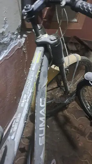 Double Gear Bicycle with Excellent Condition