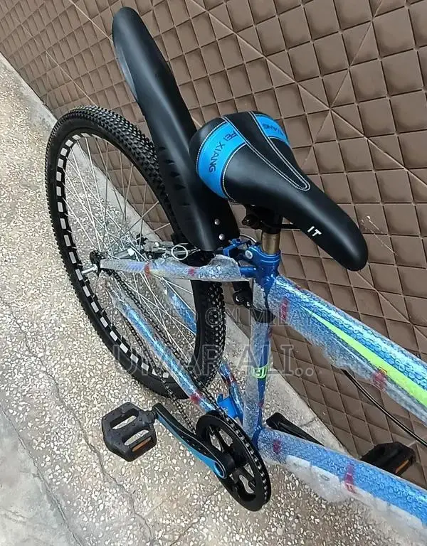 Imported Goodwin Cycling Bicycle with Front Disc Brake