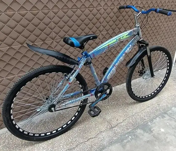 Imported Goodwin Cycling Bicycle with Front Disc Brake