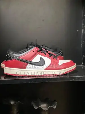 Nike Dunk Low Pro Sneakers - Classic Streetwear Skateboarding Shoes