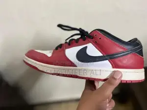 Nike Dunk Low Pro Sneakers - Classic Streetwear Skateboarding Shoes