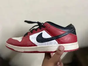 Nike Dunk Low Pro Sneakers - Classic Streetwear Skateboarding Shoes