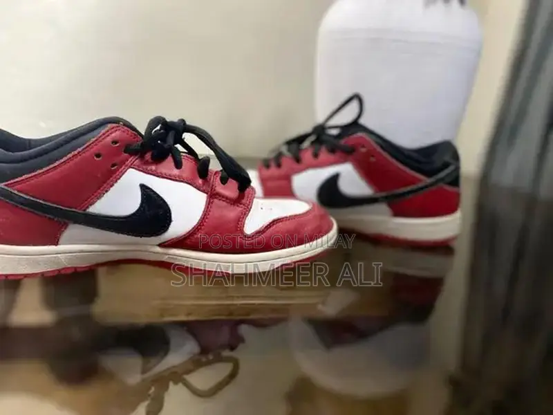 Nike Dunk Low Pro Sneakers - Classic Streetwear Skateboarding Shoes