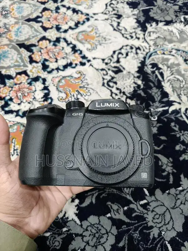 Panasonic Lumix GH5 Mirrorless Camera with 8-18mm Lens