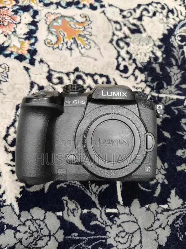 Panasonic Lumix GH5 Mirrorless Camera with 8-18mm Lens