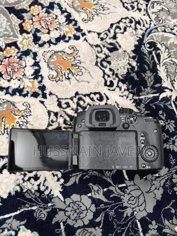 Panasonic Lumix GH5 Mirrorless Camera with 8-18mm Lens