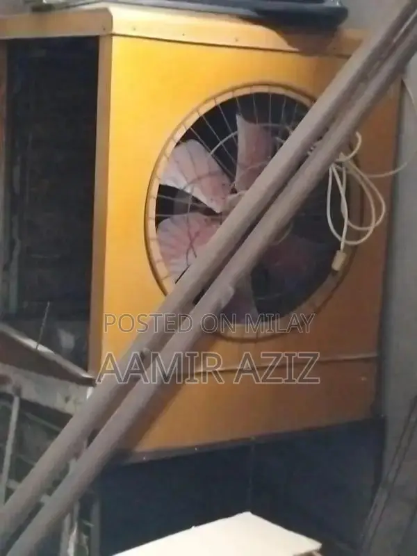 Lahori Collar Accessory for Stylish Wear