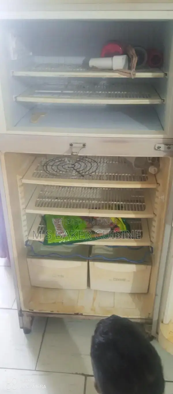 PEL Full Size 2-Door Refrigerator