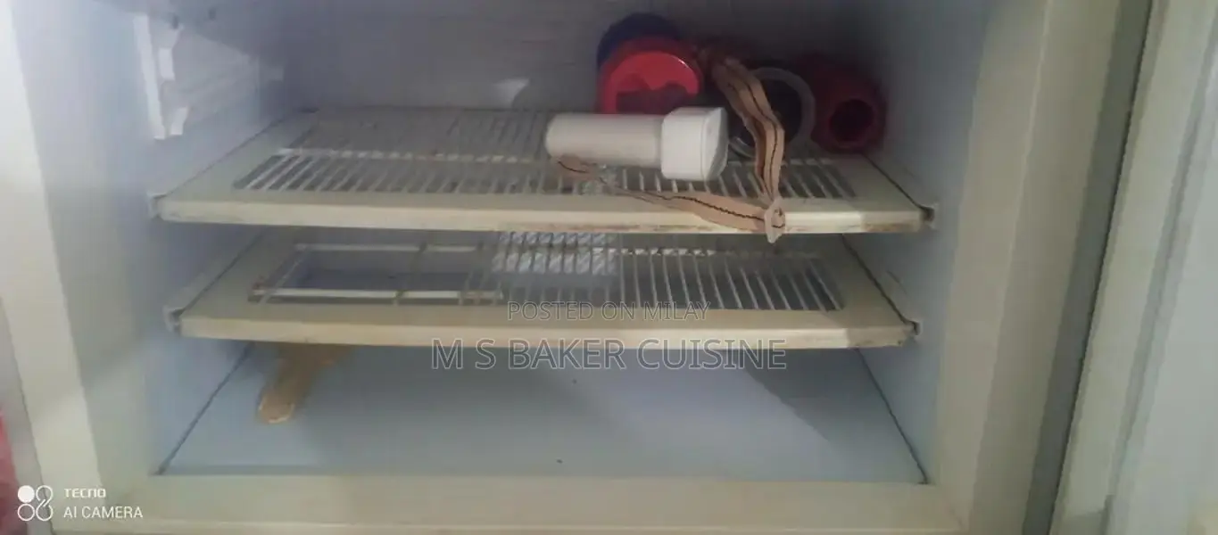 PEL Full Size 2-Door Refrigerator