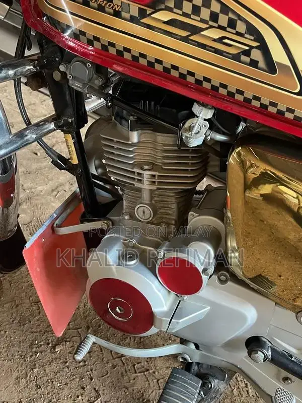 CG 125 Golden Edition Motorcycle Classic Two-Wheeler