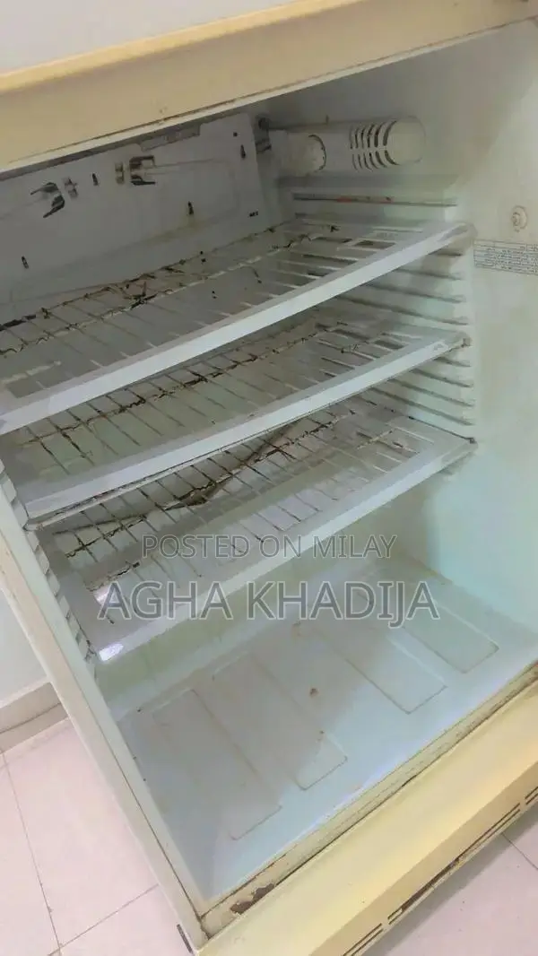 PEL 14 cu. ft Double Door Refrigerator with Fresh Box