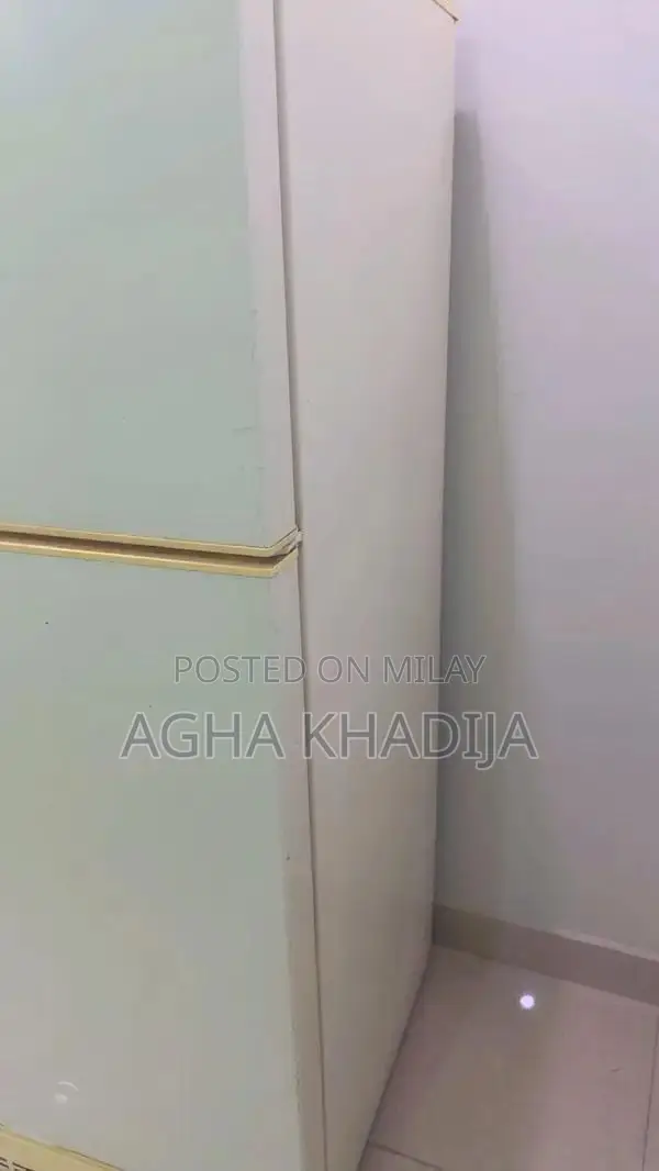 PEL 14 cu. ft Double Door Refrigerator with Fresh Box