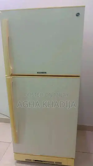 PEL 14 cu. ft Double Door Refrigerator with Fresh Box