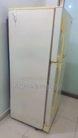 PEL 14 cu. ft Double Door Refrigerator with Fresh Box