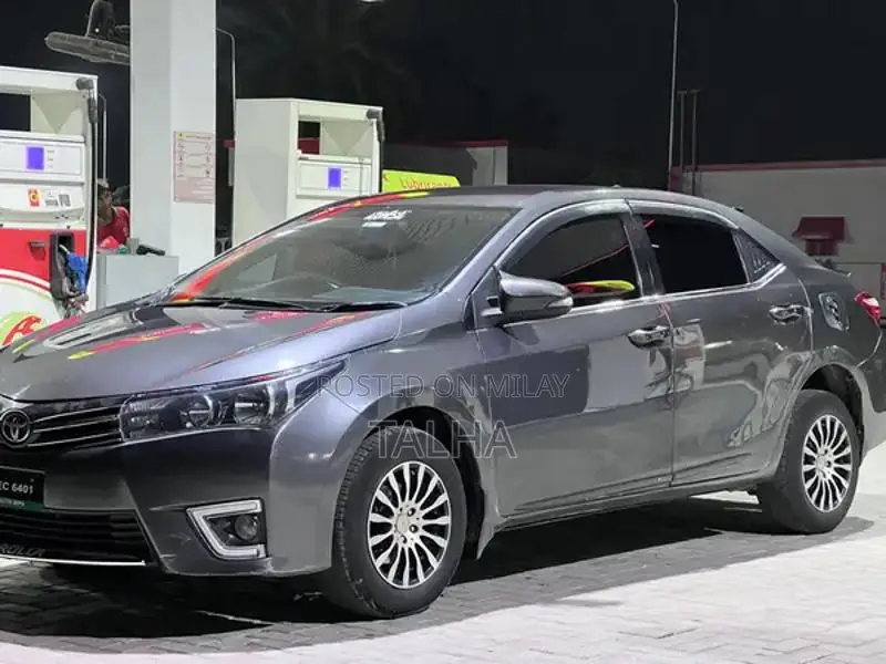 Toyota Gli Sedan Inner and Outer Seal Vehicle