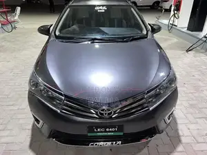 Toyota Gli Sedan Inner and Outer Seal Vehicle