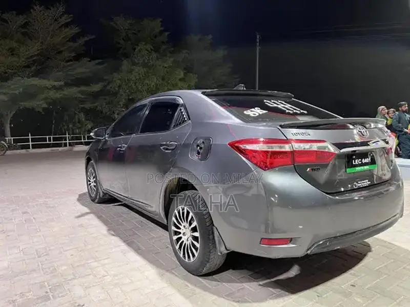 Toyota Gli Sedan Inner and Outer Seal Vehicle