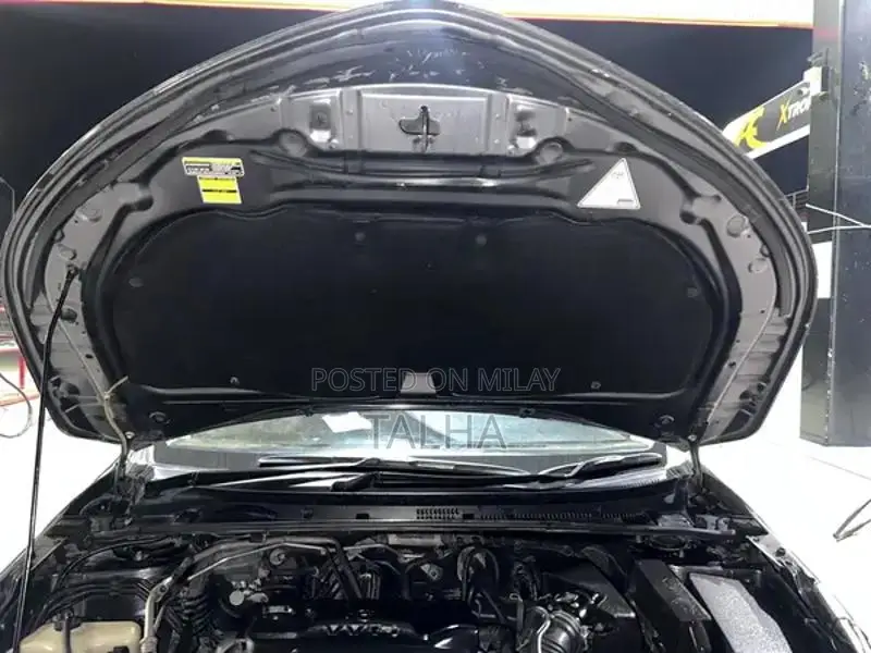 Toyota Gli Sedan Inner and Outer Seal Vehicle