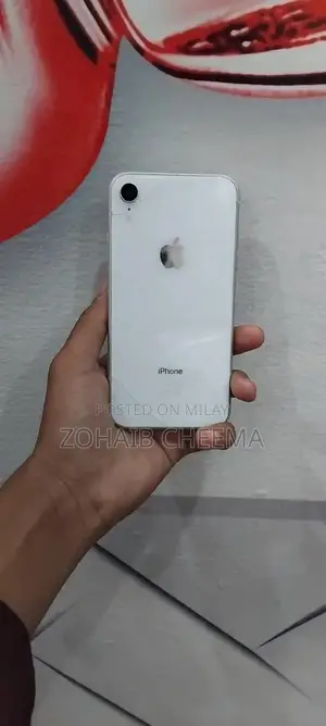 Apple iPhone XR Smartphone - Used Condition