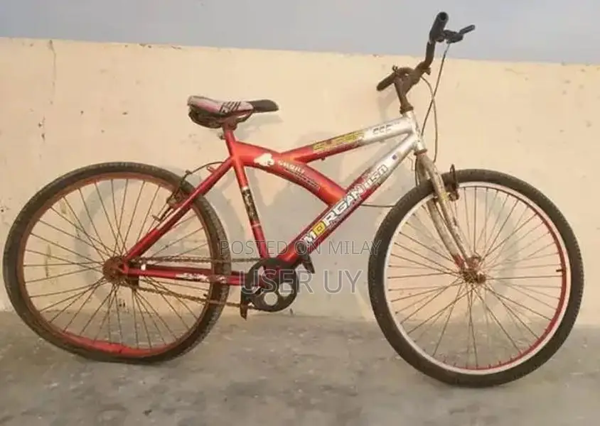 Classic Cycle for Urban Commuting and Leisure Riding