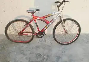 Classic Cycle for Urban Commuting and Leisure Riding