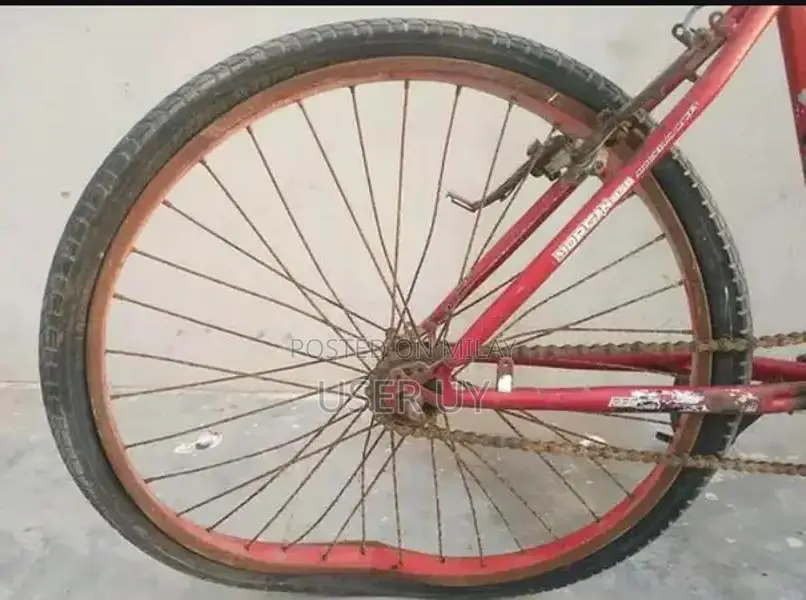 Classic Cycle for Urban Commuting and Leisure Riding