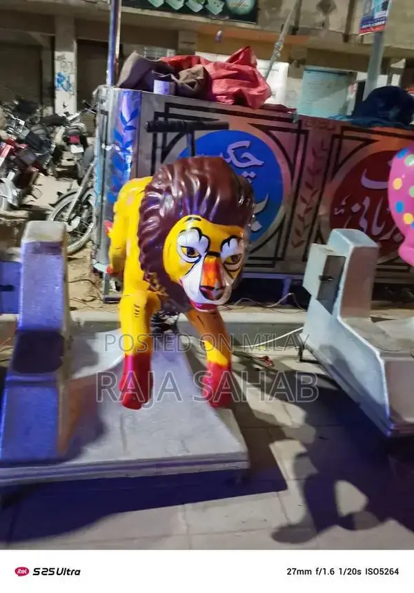 Kids Outdoor Ride Token Play Equipment