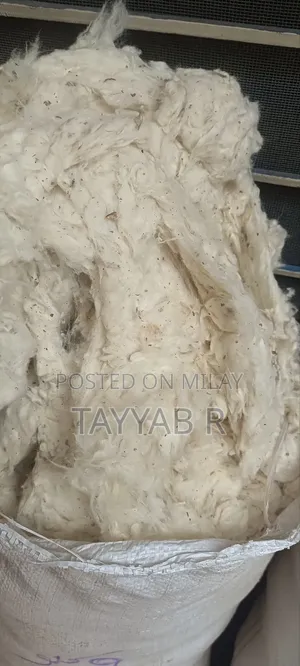 Factory Cotton (Roi) for Sale
