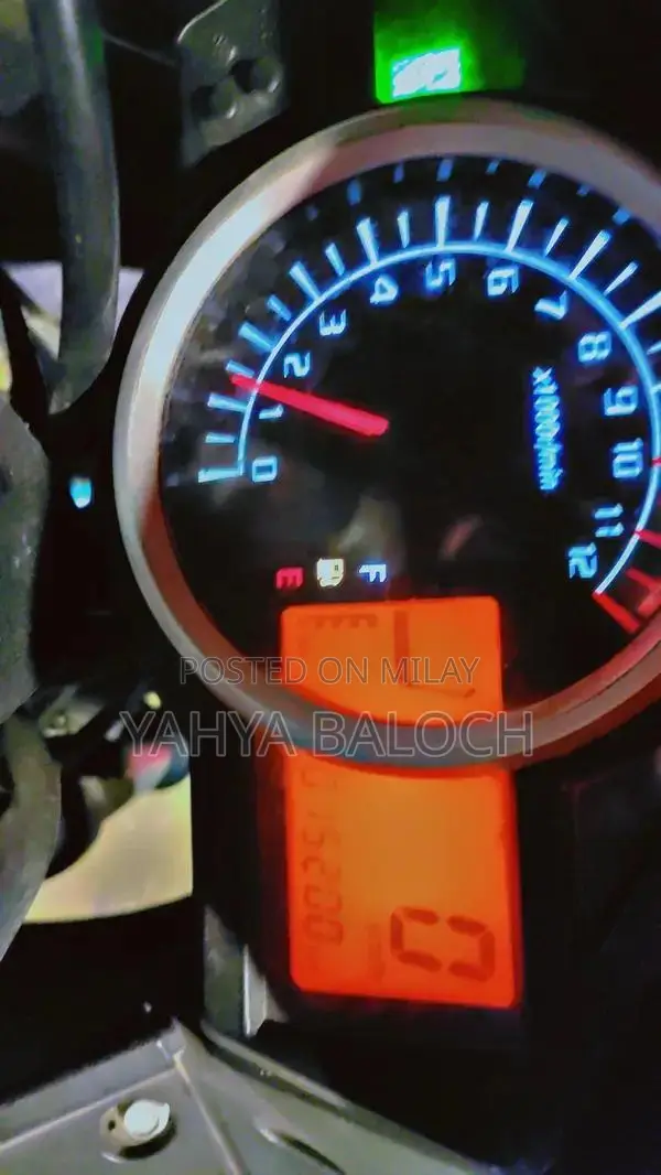 Leo 200cc Sport Motorcycle with Disc Brakes