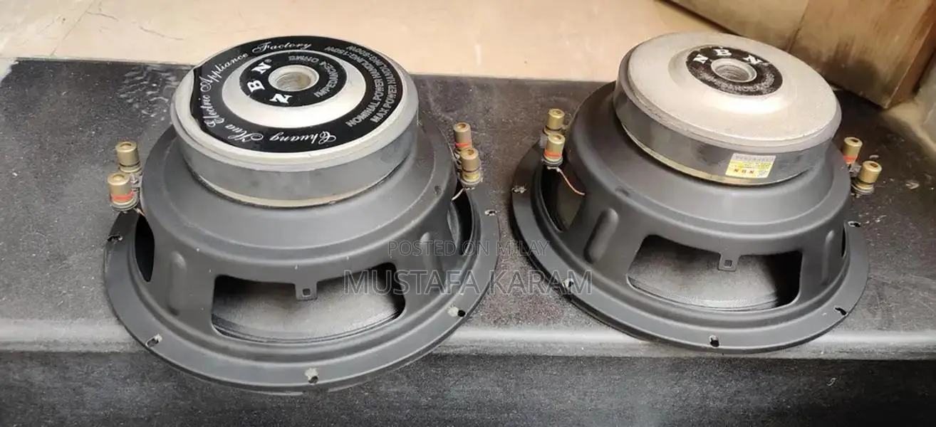 NBN Dual Coil 4 Ohm Woofers - High Performance Audio Speakers