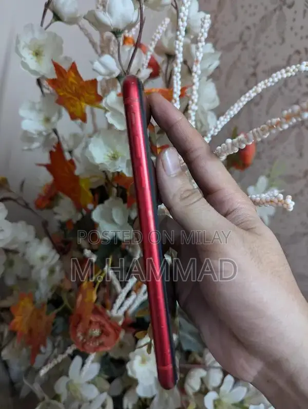 Apple iPhone 11 Red Smartphone 64GB PTA Approved Used